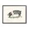 Stupell Industries Farm Pig Grazing in Field Wall Art in Black Frame